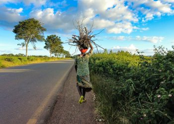 How socio-economic conditions shape renewable energy uptake in Zimbabwe 23 How socio-economic conditions shape renewable energy uptake in Zimbabwe