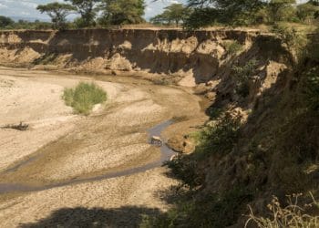 What developing countries need to reach net zero 30 What developing countries need to reach net zero