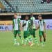 Too many diaspora players killing Super Eagles, says Edema Fuludu