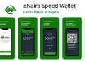 eNaira downloaded over 566,000 times from 160 countries – CBN