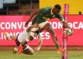 Springboks missed an opportunity to test new stars ahead of 2023 World Cu