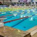 Swimming SA says allegations of sexual abuse are ‘speculation’ and ‘unsubstantiated’