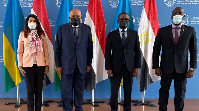 Egypt, Rwanda discuss African, international issues
