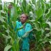 AGRA, COMESA renew commitment to enhance food security, regional food balance