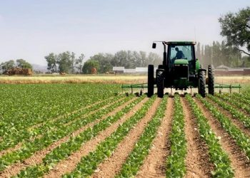 “Africa is open for business,” the continent’s leaders tell investors and business leaders from around the world