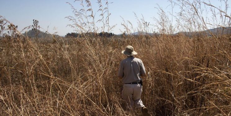 Zimbabwe’s Ncube sees progress in R66bn farmer dispute