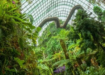 Bezos Earth Fund releases $100m for AI to help the climate and protect nature