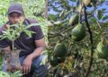 How a young agri-preneur returned from Israel to modernise avocado farming in Rwanda 26 agri preneur