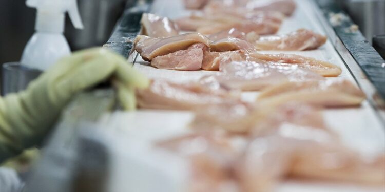 chickenprocessline082017bloomberg1022